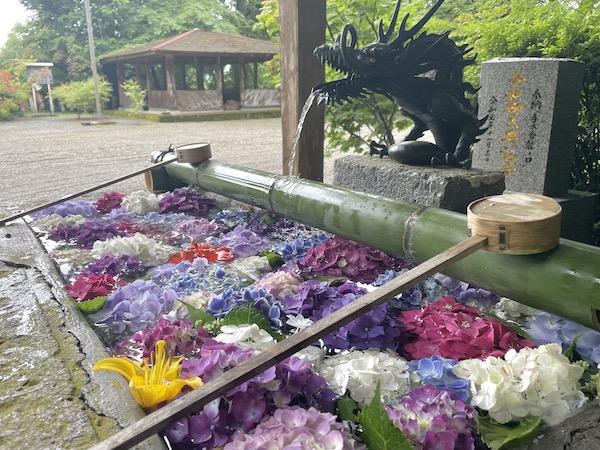 あじさい花手水