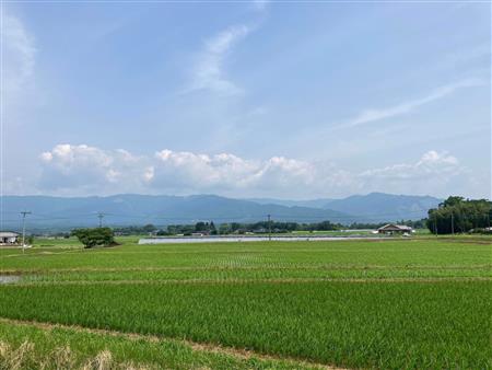 田園